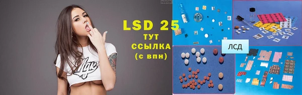 ECSTASY Белокуриха